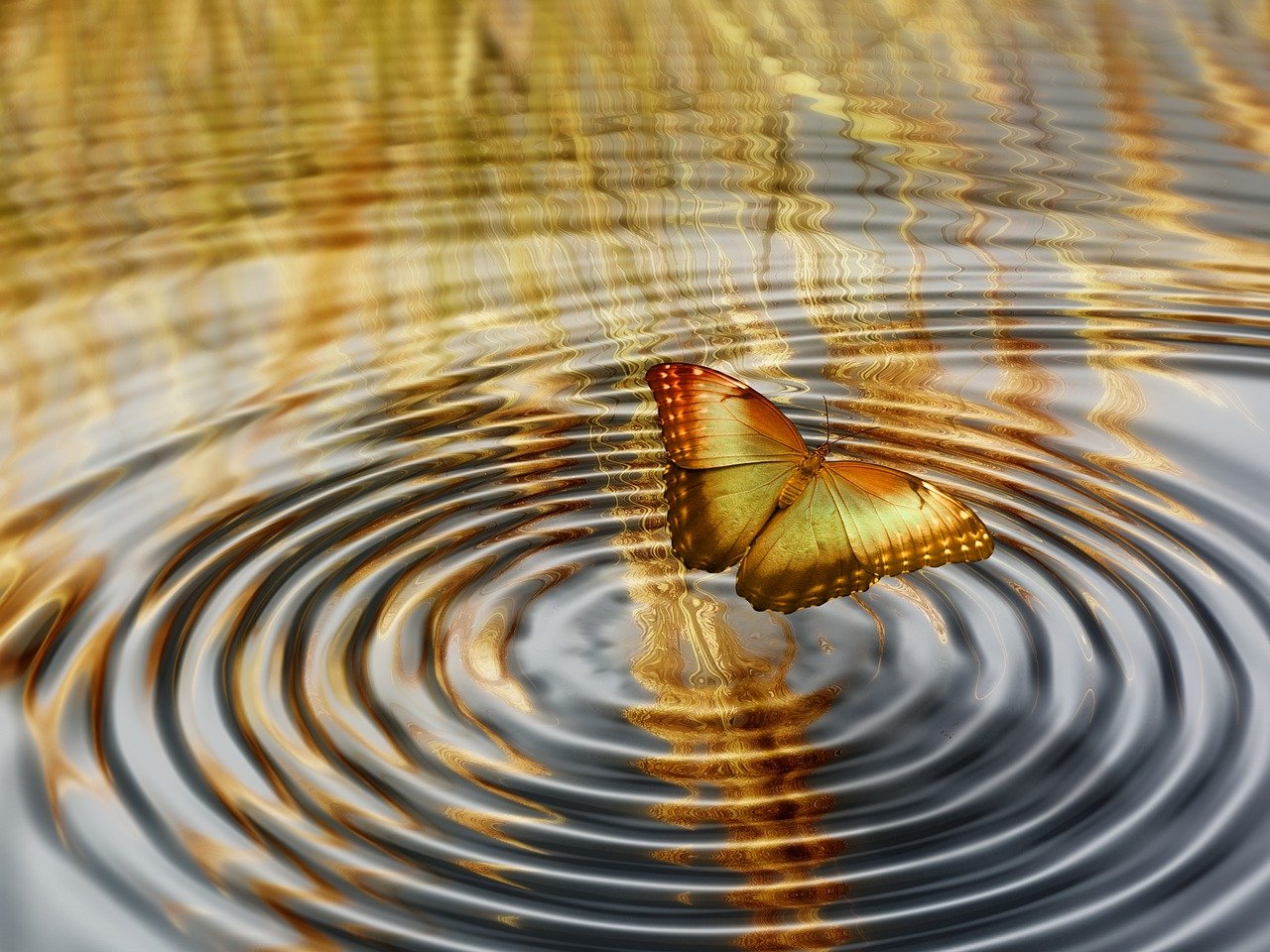 蝴蝶效應(yīng)電影在線觀看，探究混沌理論中的微妙影響與時(shí)空穿梭的魅力